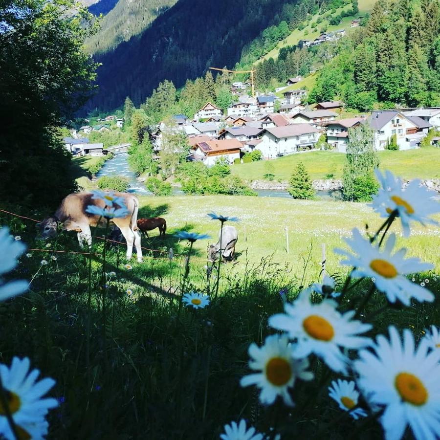 Apartmán Haus Sabrina Rotpleiskopf See Exteriér fotografie